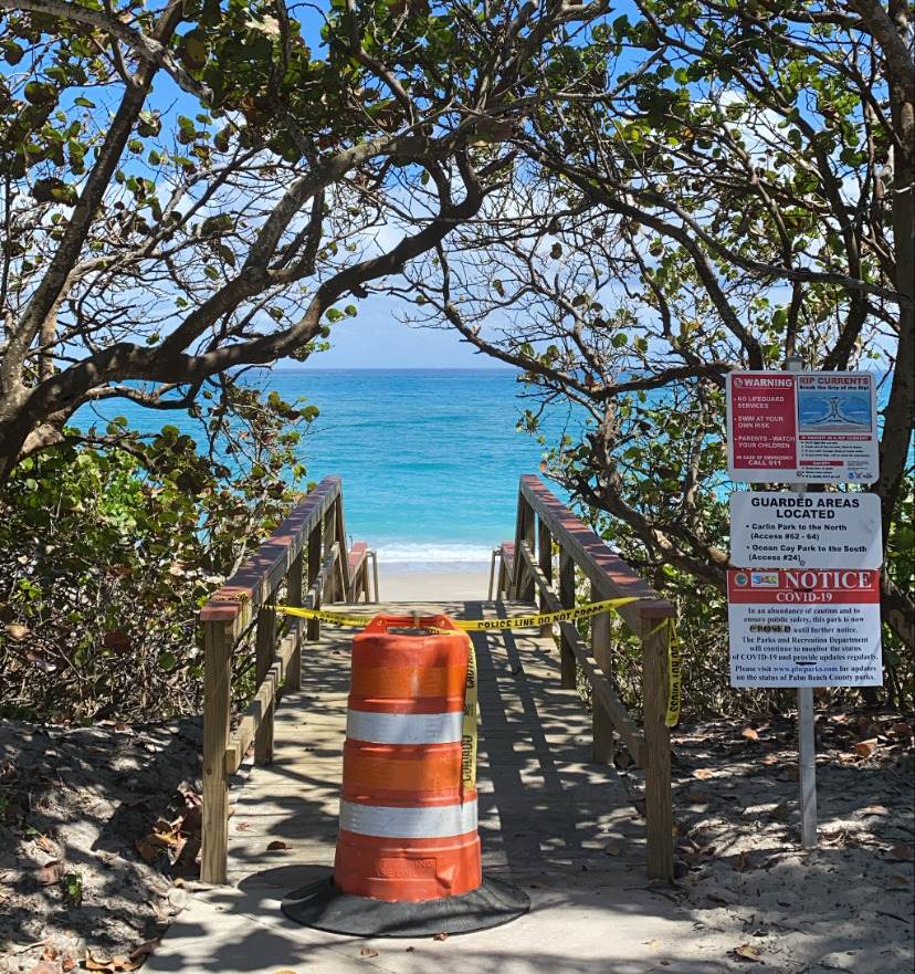 369516AB-924E-4181-B851-BF946B3A46AE